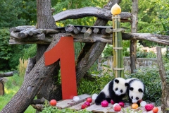01 Panda_Geburtstag_ZooBerlin