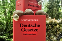 Acryl auf Holz Kunststoff Bücher Beispiel zum Themenbereich Law Order Wintergarte Atelier © Monika Schmidt