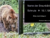 © W. Bentz - Schnute © W. Bentz - Schnute