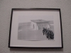 Foto © Berliner Bärenfreunde e.V.