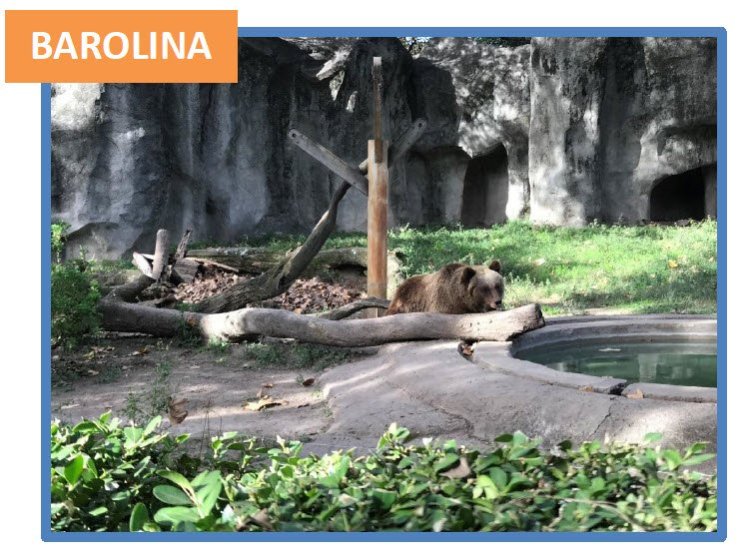 Bolina 1994 geb. in Berlin   Eco Park Buenos Aires