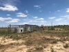 Bärentransport von Buenos Aires nach Colorado © Eco Park Buenos Aires