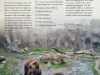 Atze and Bärolina Story Winter 2018 © Wild Animal Sanctuary