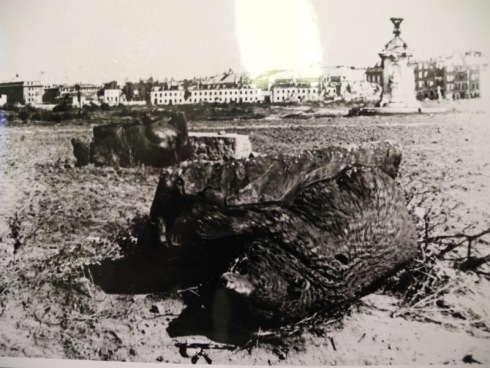 Berlin Tiergarten Hirsch & Bär Foto Hellmuth  - trotz sogfältiger Recherchen ist nicht gelungen den Rechteinhaber zu ermitteln