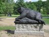 Berlin Tiergarten Floraplatz Bär ©  N. Vösgen