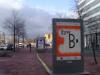 Foto © Berliner Bärenfreunde
