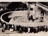 1952 Berliner Bärenzwinger © AK Sammlung privat Christa Junge