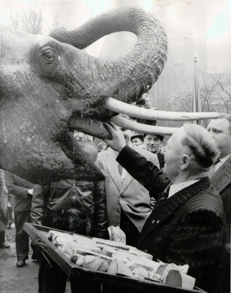 Bärenvater Porath füttert einen Elefanten mit Brot im Berliner Tierpark Foto © Privat