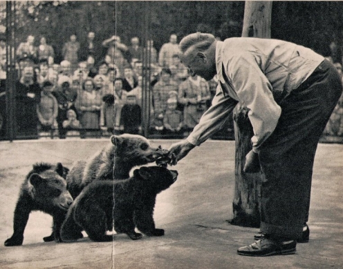 Bilder aus dem Bärenkindergarten im Berliner Tierpark im April Foto © Budich