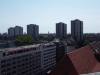 Blick über Berlin, Foto © Berliner Bärenfreunde e.V.