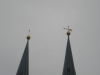 Nikolaikirche, Wetterfahne mit Berliner Bär © Christa Junge