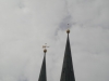 Nikolaikirche, Wetterfahne mit Berliner Bär © Christa Junge
