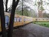 Foto © Berliner Bärenfreunde e.V.