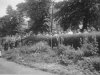 Foto © Stadtarchiv Schöfferstadt Gernsheim