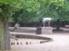 Berliner Bär von Georg Wrba im Berliner Tierpark Foto © Christa Junge