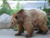 Besuchergruppe aus Pankow bei Maxi und Schnute, 11.06.2012