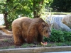 Besuchergruppe aus Pankow bei Maxi und Schnute, 11.06.2012