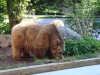 Besuchergruppe aus Pankow bei Maxi und Schnute, 11.06.2012