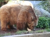 Besuchergruppe aus Pankow bei Maxi und Schnute, 11.06.2012