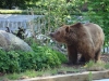 Besuchergruppe aus Pankow bei Maxi und Schnute, 11.06.2012