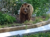 Besuchergruppe aus Pankow bei Maxi und Schnute, 11.06.2012