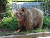 Besuchergruppe aus Pankow bei Maxi und Schnute, 11.06.2012