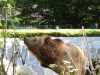 Besuchergruppe aus Pankow bei Maxi und Schnute, 11.06.2012