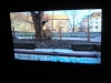 Foto © Berliner Bärenfreunde