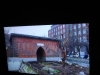 Foto © Berliner Bärenfreunde