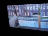 Foto © Berliner Bärenfreunde