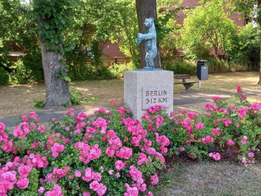 Der Berliner Bär im Rosenmeer Foto © Frau Wiesen