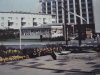 Berliner Bär ©  STADTARCHIV OER-ERKENSCHWICK ca. 1980