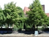 © Berliner Bärenfreunde e.V.