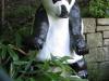 Franz-Josef Wennemann -Panda Bär   © Frank Kloetgen