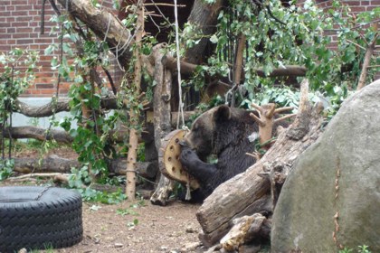 Besuch aus Hof (05.08.2006)