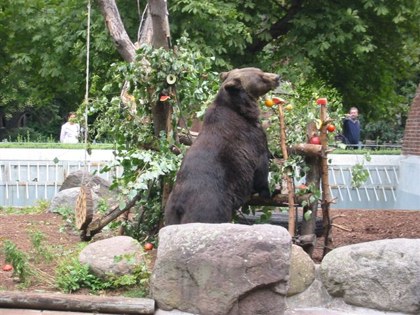 Besuch aus Hof (05.08.2006)