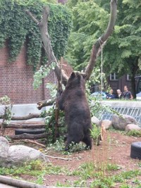 Besuch aus Hof (05.08.2006)