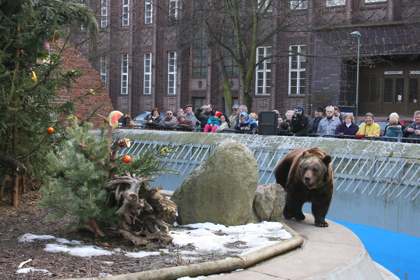 726 Jahre Berliner Bär