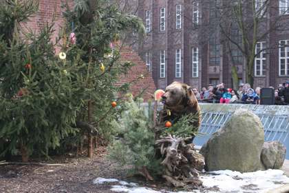 726 Jahre Berliner Bär